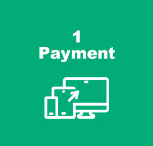 Website Remedy - 1 Payment